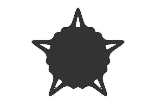 Umbucken_Vorderseite